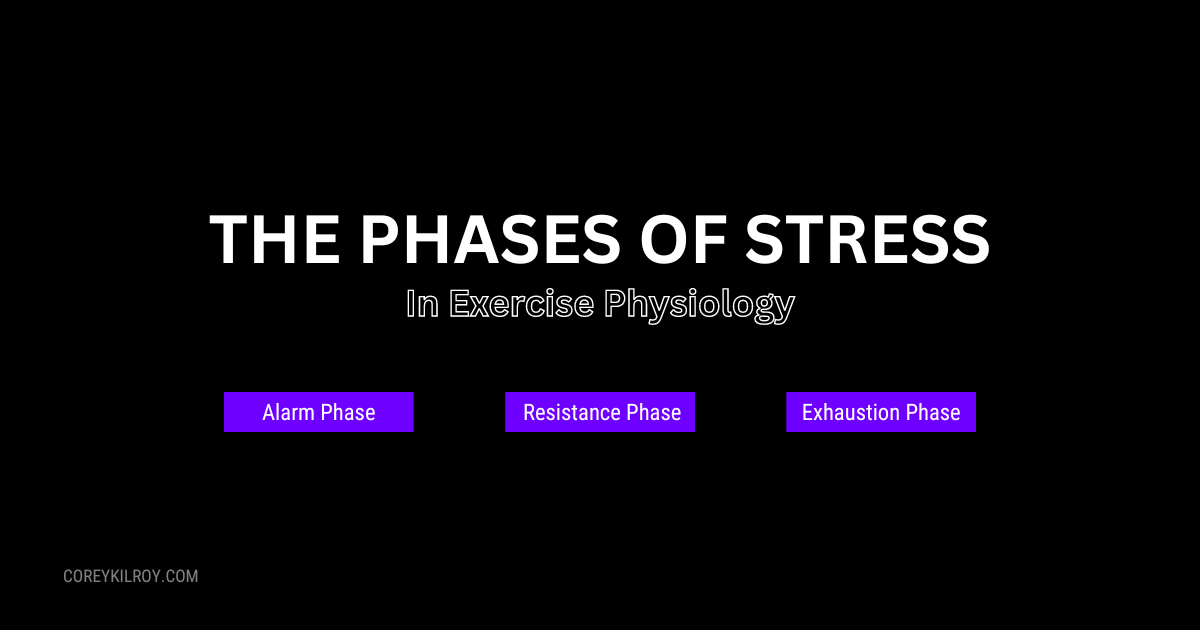 How Stress Impacts Our Training.