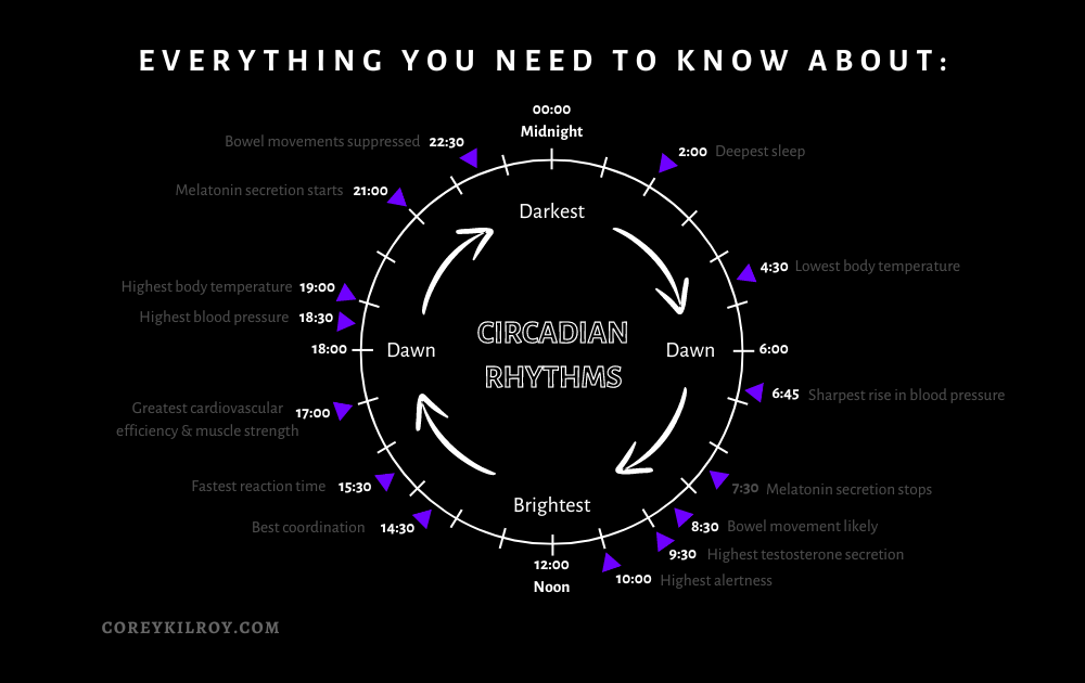 Everything you need to know about Circadian Rhythms