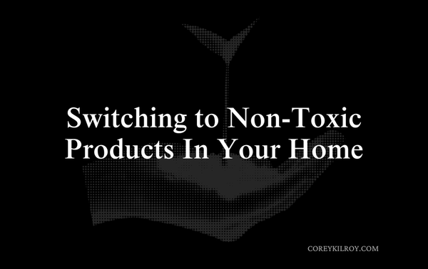 Introduction to Switching To Non-Toxic Products In Your Home